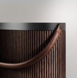 BEOSOUND A5
