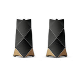 BEOLAB 90