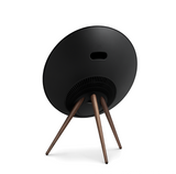 BEOSOUND A9 5TH GEN