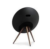 BEOSOUND A9 5TH GEN