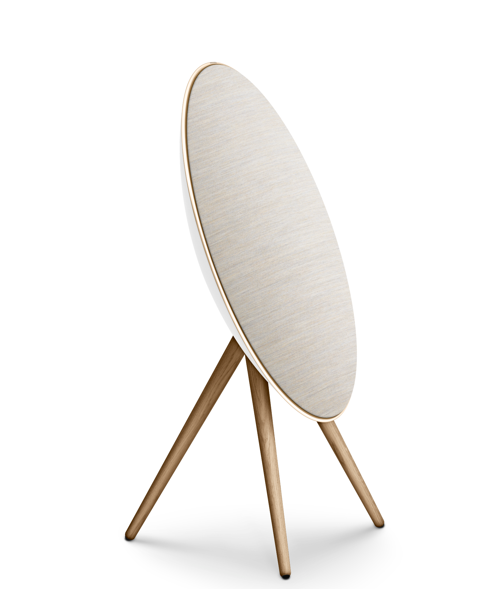 BEOSOUND A9 5TH GEN