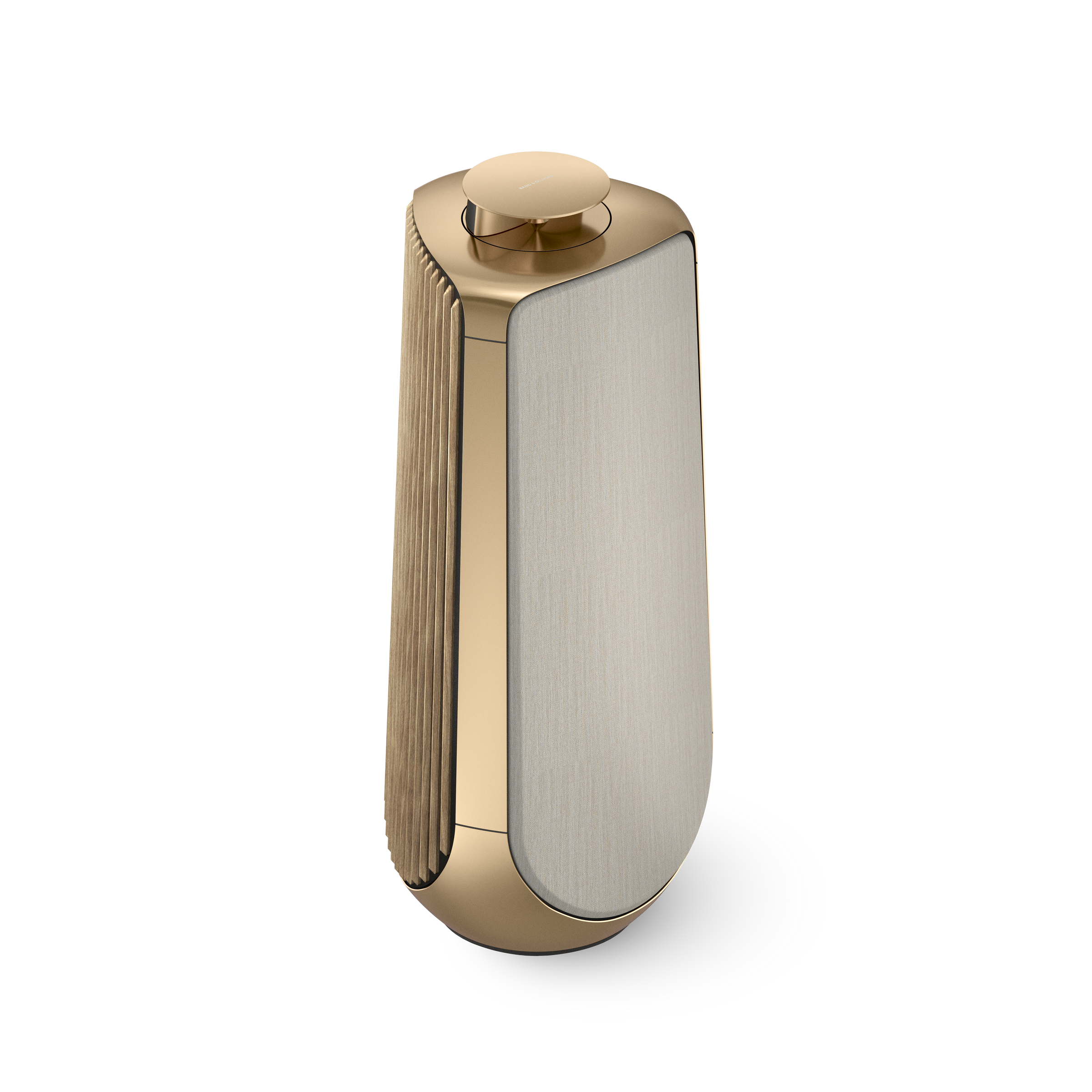 BEOLAB 50